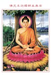 Benutzeravatar