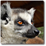 Benutzeravatar